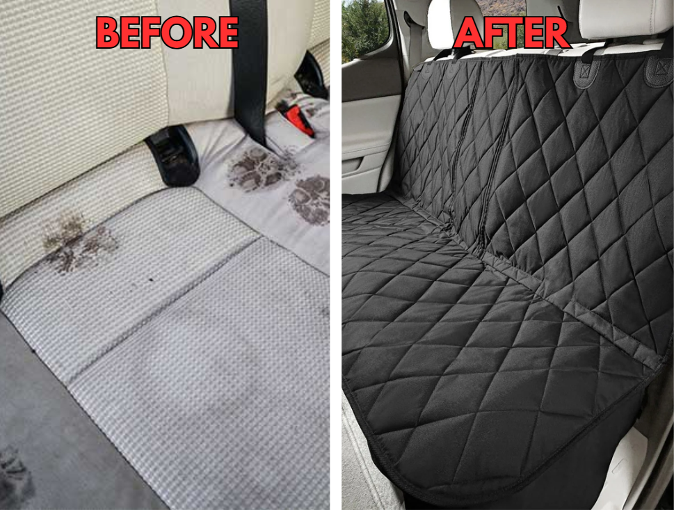 Sick Of Dog Hair & Mud Ruining Your Car Seats?